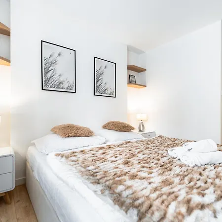 Ah Park Angelinum Ac Koszyce